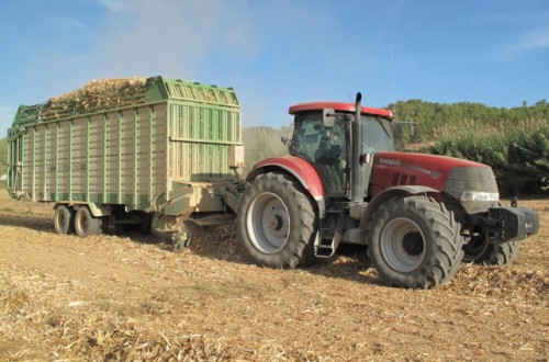 El manejo de los residuos de maíz y sus efectos en la producción y calidad del suelo