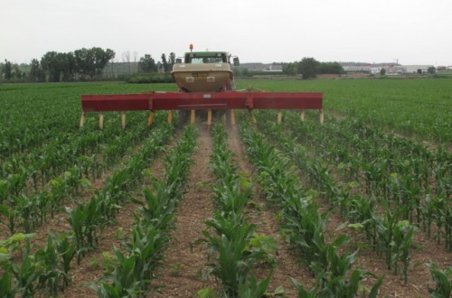 La fertilización nitrogenada del maíz y el nitrógeno residual del suelo