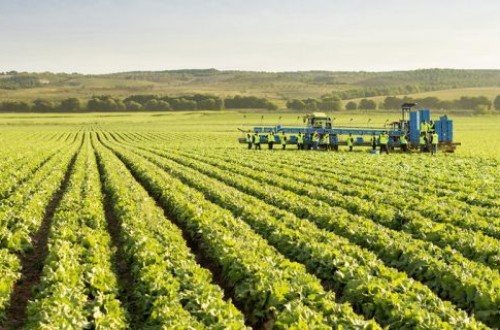 Los seguros agrarios superan los 1.000 millones de euros en primas por primera vez en la historia