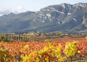 Bodegas artesanales en la Rioja Alavesa