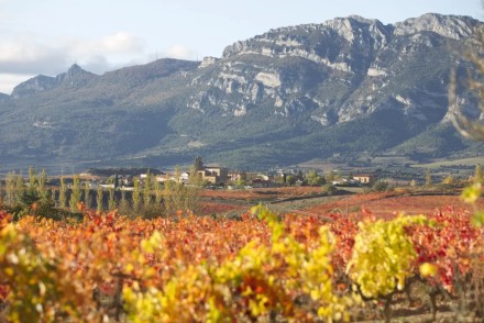 Bodegas artesanales en la Rioja Alavesa