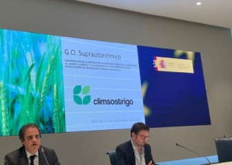 Climsostrigo: un proyecto para mejorar la sostenibilidad del cultivo de trigo