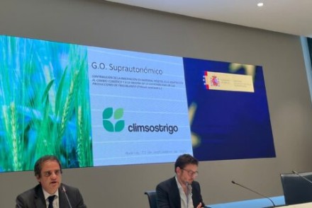 Climsostrigo: un proyecto para mejorar la sostenibilidad del cultivo de trigo