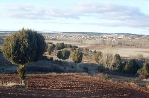 El sonido de la tierra. Por Jaime Lamo de Espinosa