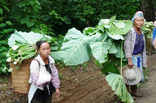 La crisis china actual está influyendo sobre la demanda global de alimentos y commodities. Por Jaime Lamo de Espinosa