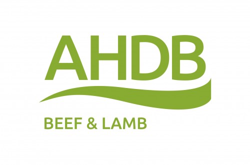 Eblex cambia de marca y ahora es AHDB Beef and Lamb