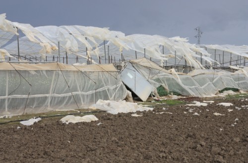 Ayudas de 6,5M€ para paliar los daños al agro de las catástrofes naturales del primer trimestre del año