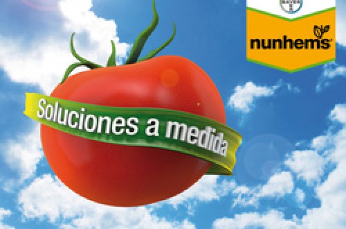 Nunhems aumenta la producción en ciclo corto para tomate en la zona de Níjar