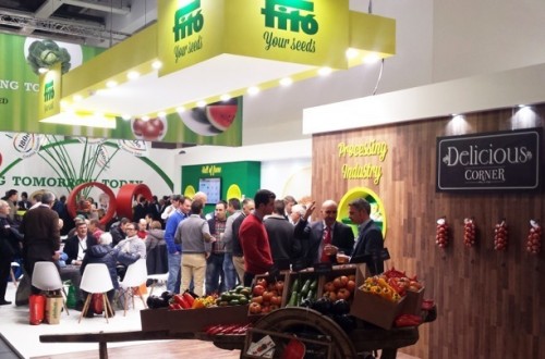 Semillas Fitó mostrará su liderazgo internacional en berenjena semilarga y melón amarillo en Fruit Logistica 2016