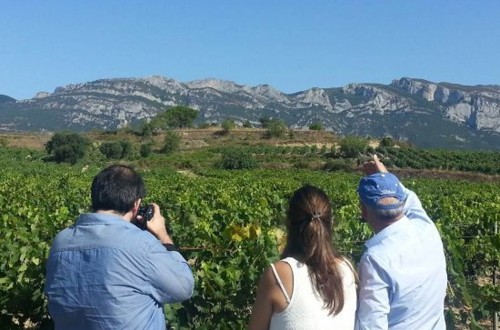 Artadi reclama una denominación de origen para la Rioja alavesa