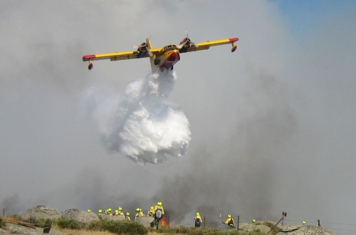 UPA lamenta que se criminalice a los ganaderos por los incendios en el norte