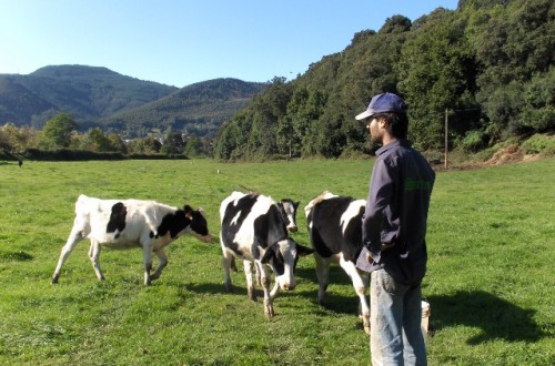 Los jóvenes agricultores, protagonistas del V Foro Nacional de Desarrollo Rural