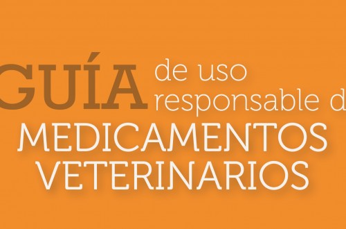 Vetresponsable publica la “Guía de uso responsable de medicamentos veterinarios en bovino”