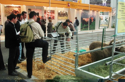 Completado el programa del V Foro Nacional de Desarrollo Rural