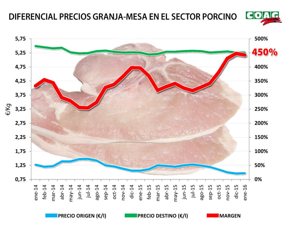 Los muy bajos precios de origen no se trasladan al PVP de la carne de cerdo