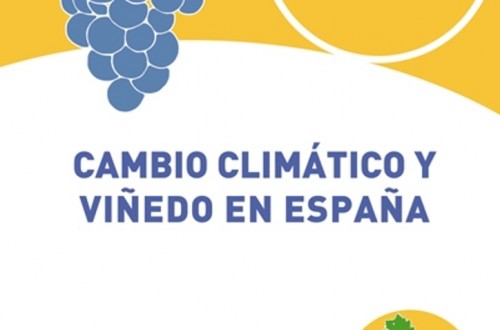 Proyecto de investigación de COAG sobre cambio climático y viñedo en España