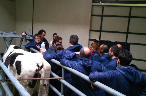 Zoetis colabora en el curso de ecografía músculo-esquelética, visceral y reproductiva en bovinos de Humeco