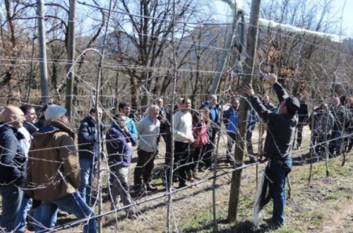 El IRTA organiza la V jornada de poda en manzana de montaña