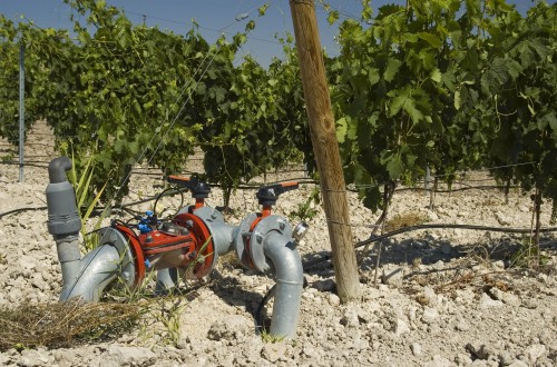 Día Mundial del Agua: la superficie de regadío aumenta un 8,7% en quince años