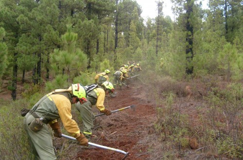 UGT impugnará el I Acuerdo Marco Forestal