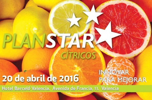 Últimas plazas disponibles para participar en el Plan STAR Cítricos en Valencia