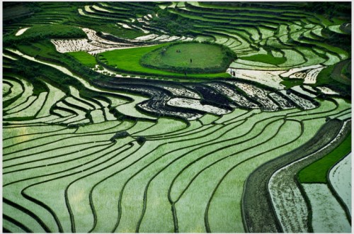 Fondos soberanos, un nuevo fenómeno en la economía agraria mundial. Por Jaime Lamo de Espinosa