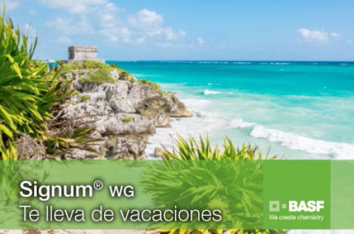 Basf sortea un viaje a la Riviera Maya para premiar la confianza en Signum WG