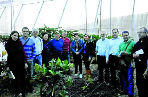 Econex participa en las Jornadas Técnicas sobre Fruticultura de Tacoronte