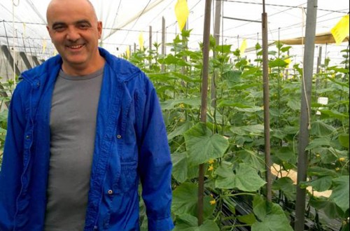 «Al tener la planta más fuerte con los productos de Bonora tengo muchos menos problemas»