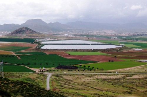 Agricultura redujo la licitación de ingeniería en casi un 70% en los últimos 10 años, según FIDEX