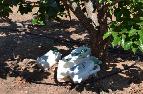 Cooperativas y Sigfito firman un convenio para fomentar el reciclaje de envases