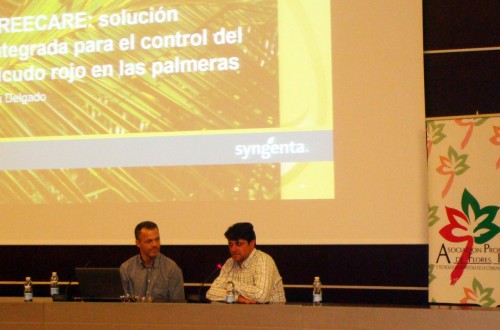 Syngenta presenta su estrategia TreeCare contra el picudo rojo de las palmeras