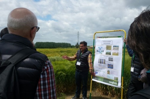 Técnicos cerealistas españoles visitan el centro de desarrollo de Syngenta de la cebada híbrida Hyvido