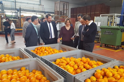 Los eurodiputados españoles critican a Bruselas por debilitar los controles de sanidad vegetal frente a las plagas