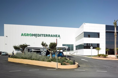 Agromediterránea aumenta su facturación un 42,3% en 2015