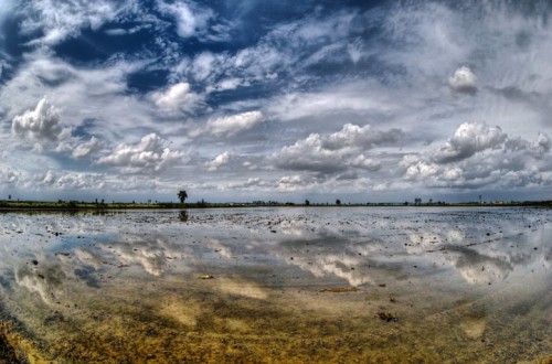 El agua, un bien económico, frágil, vital, renovable, de dominio público y de carácter global. Por Jaime Lamo de Espinosa