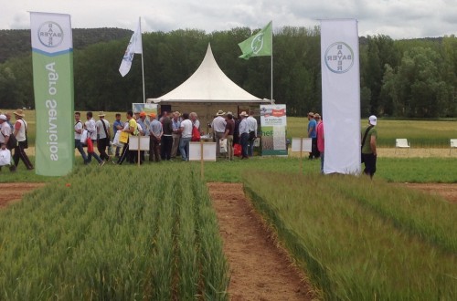 Bayer apoya la transferencia tecnológica en cereales en la IV edición de la jornada del Genvce