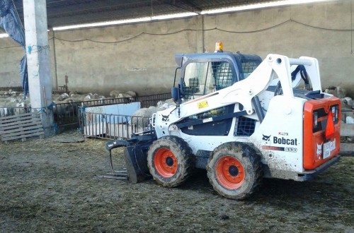 Rentabilizar una explotación ovina con la cargadora compacta Bobcat S530