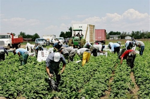 El paro en Agricultura bajó un 6% y en 12.060 personas en el pasado mes de mayo