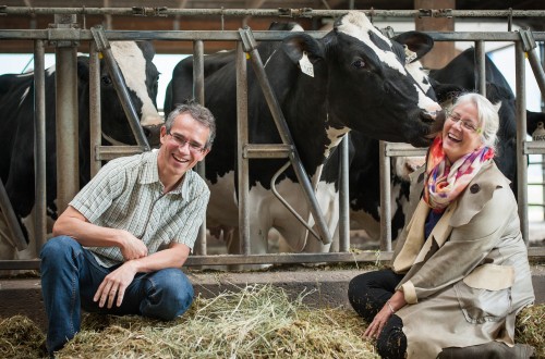 Boehringer Ingelheim entrega el primer Premio al Bienestar Animal en Rumiantes