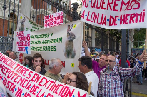 Los cunicultores de Conacum piden salir de la interprofesional Intercun