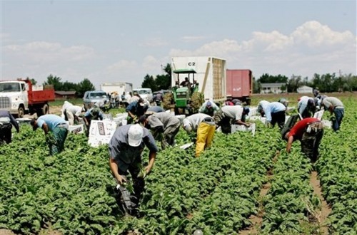 El paro agrario subió ligeramente en el mes de junio, pero desciende en el último año