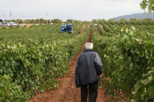 2016 marca un nuevo máximo histórico de envejecimiento de la población española