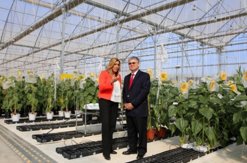 DuPont Pioneer inaugura en Sevilla un Centro Tecnológico de Investigación dirigido al cultivo del girasol