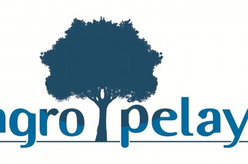 Grupo Pelayo incrementa un 91% sus beneficios, principalmente por la actividad agraria