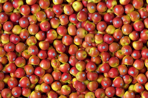 La comercialización y marketing de la manzana, a debate en Fruit Attraction