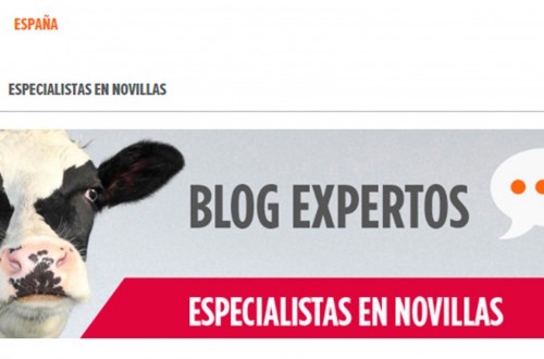 Alfonso Monge se incorpora al elenco de expertos del Blog de Novillas de Zoetis