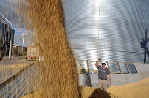 Más de 500 empresas y ‘brokers’ de diez países se dan cita en la I Bolsa Internacional de Cereales del Duero