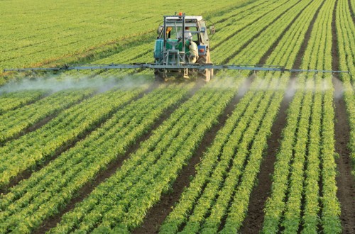 Elecciones 10-N, España necesita nuevos y buenos programas rurales/agrarios. Por Jaime Lamo de Espinosa