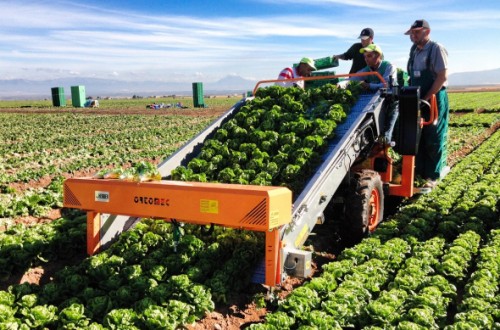 Intervitis Interfructa Hortitechnica hará pruebas prácticas con las máquinas más innovadoras